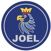 Joel BV