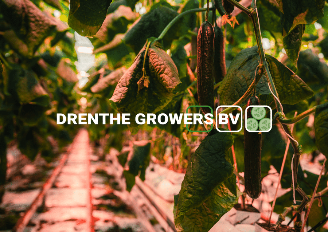 blue and white modern medical brochures collage brochures