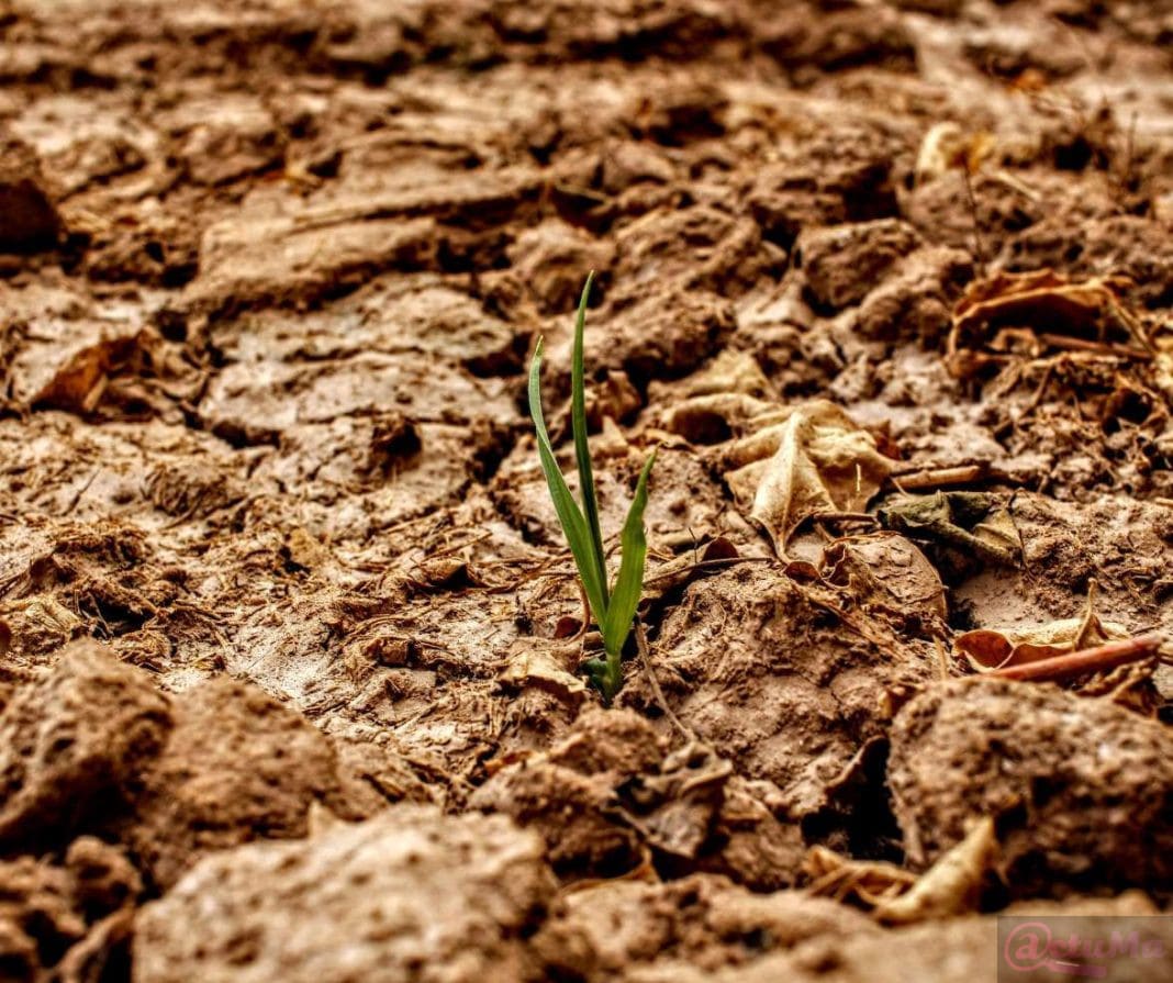 droogte